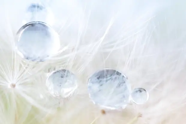 Trance Healing in Zürich